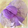 Fascinator Image 2