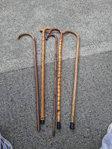 walking stick