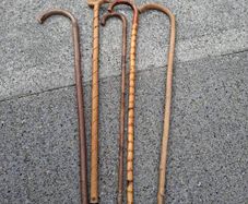 walking stick