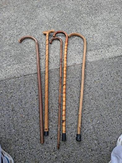 walking stick