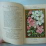 The Language and Poetry of Flowers (book) Image 5