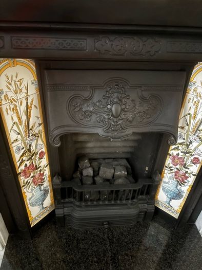 fire insert with gas fire