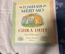 Irish language children's book