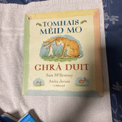 Irish language children's book