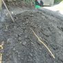 Free Top Soil Image 2