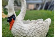 Swan Planter Cast Iron H286