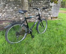 ladies bike