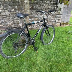 ladies bike