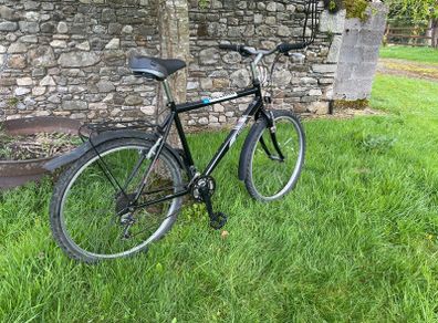 ladies bike