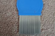 head lice comb
