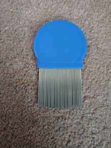 head lice comb