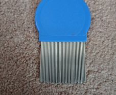 head lice comb