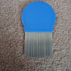 head lice comb