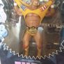 Wwe Hulk Hogan Unmatched Fury series 1 Image 6