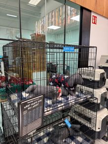 Dog Crate XL