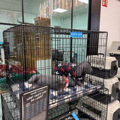 Dog Crate XL