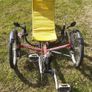 Electric Trike Image 2