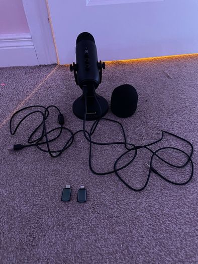 Microphone