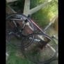 bike Image 2