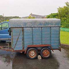 6 x 4.5 ft Cattle Trainer