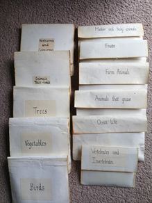 Montessori Matching Exercises