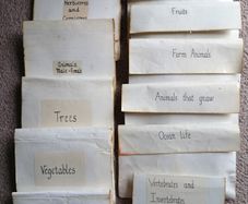 Montessori Matching Exercises