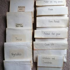 Montessori Matching Exercises