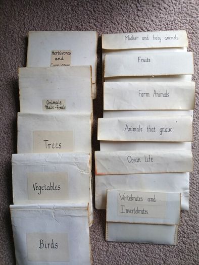 Montessori Matching Exercises