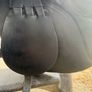 Saddle open to offers Image 7