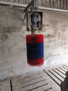 Automatic cow brush