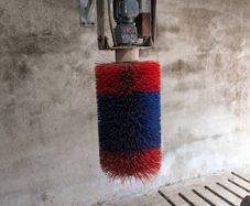 Automatic cow brush