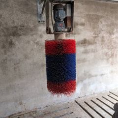 Automatic cow brush