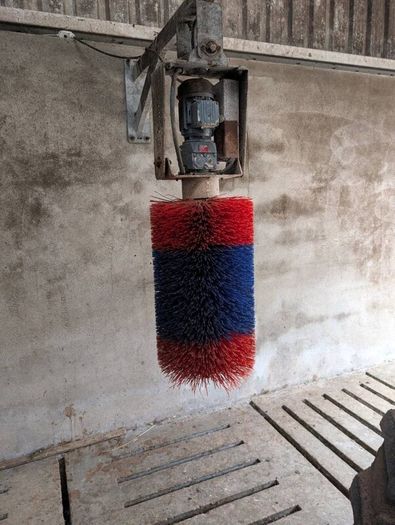 Automatic cow brush