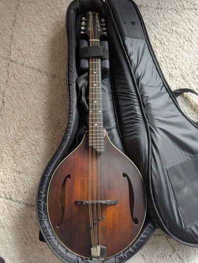 Eastman MDO305