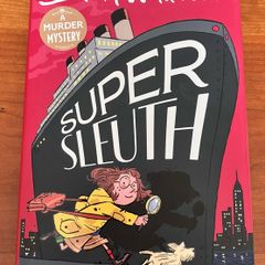 Super Sleuth by David Walliams