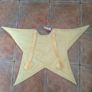 Tesco Star costume Image 2