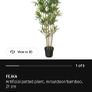 plant Image 3