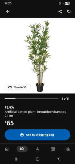 plant