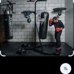 heavy boxing bag and speed ball stand