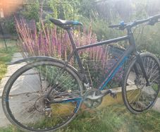 Cube Bicycle