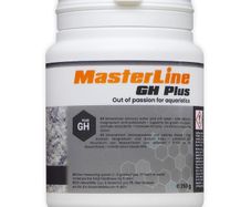 MasterLine GH Plus 250ml