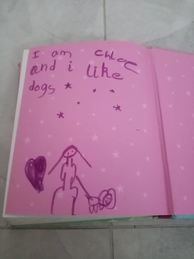 Girls book bundle