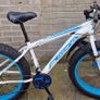 fat bike Image 3