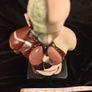 Vintage human anatomical torso model Image 8