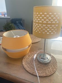Light Shade and Lamp