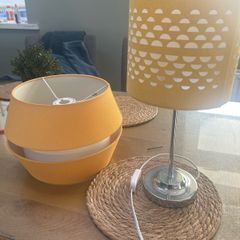 Light Shade and Lamp