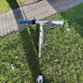 Ninebot KickScooter ZING E10 / electric scooter Image 3