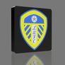 Leeds Utd Lightbox Image 5