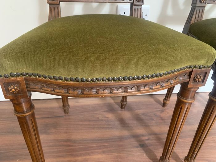 French Louis XVI Chairs
