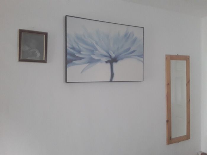 large picture